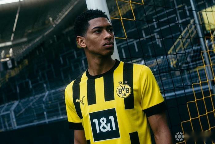 的极强嗅觉 的极强嗅觉