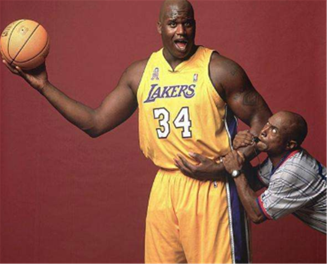 呼吸频率的 呼吸频率的